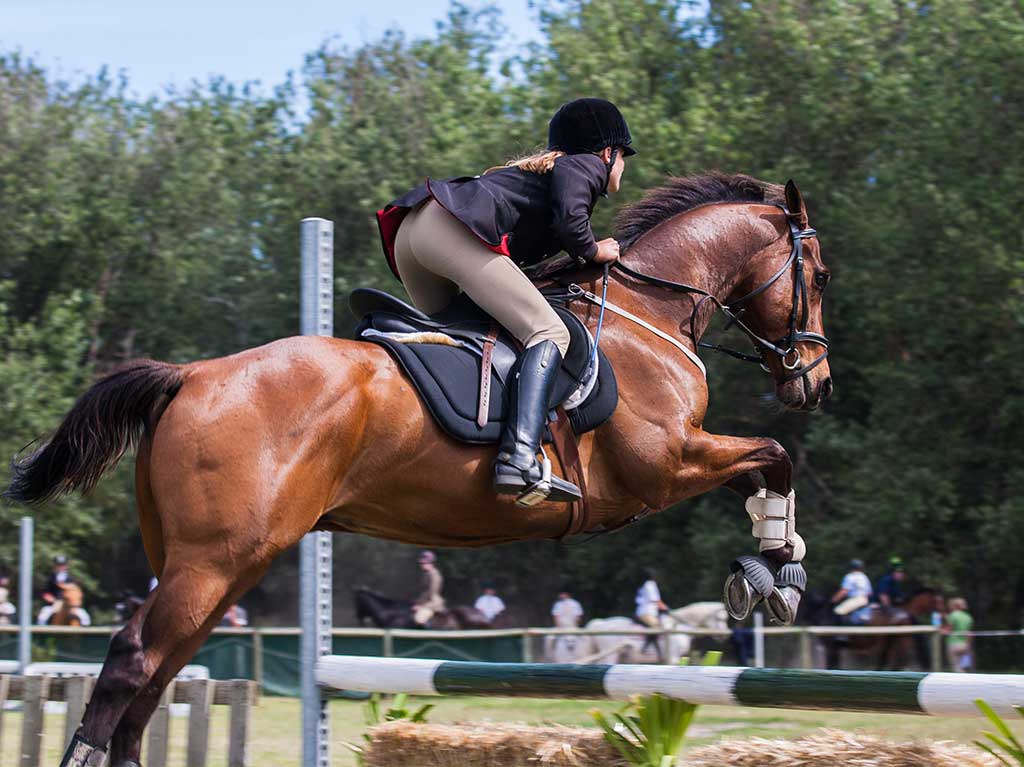 Otomi Grand Prix 2021: saltos de caballo en San Miguel de Allende