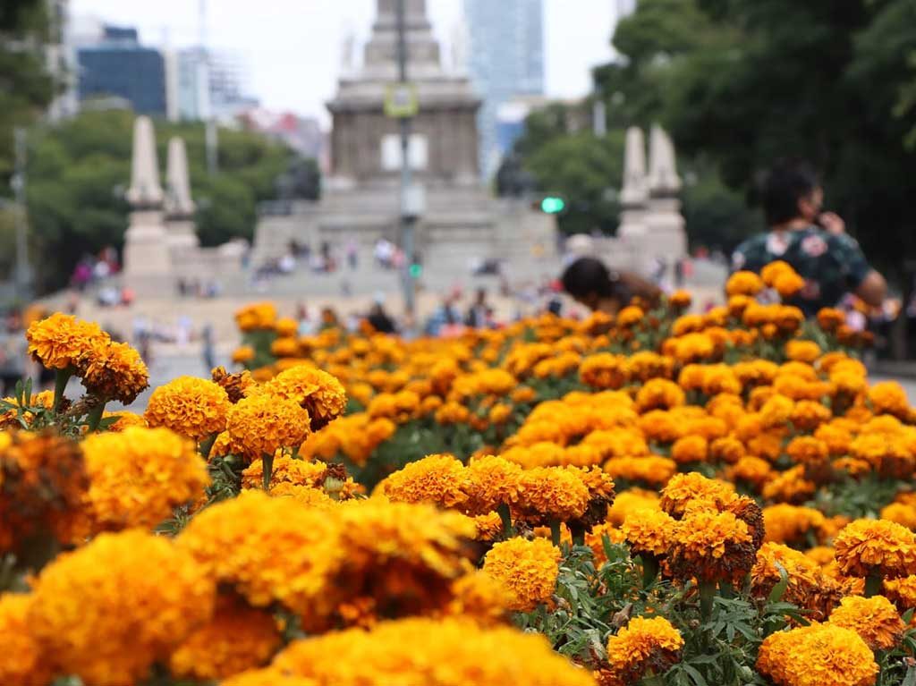 se extiende feria de cempasúchil en Paseo de la Reforma