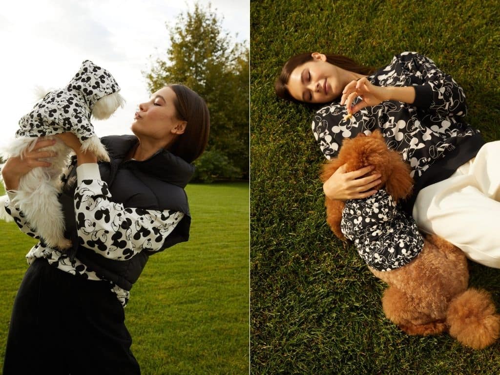 stradivarius-pets-collection