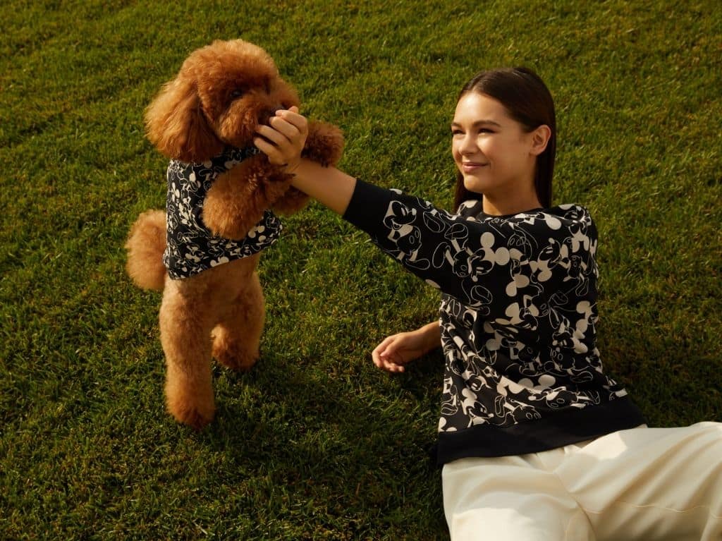 Haz match con tu mascota gracias Stradivarius Pets Collection