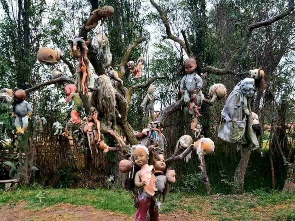 tour-nocturno-por-la-isla-de-las-munecas