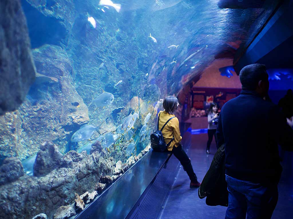 Noche de Leyendas en el Acuario Inbursa