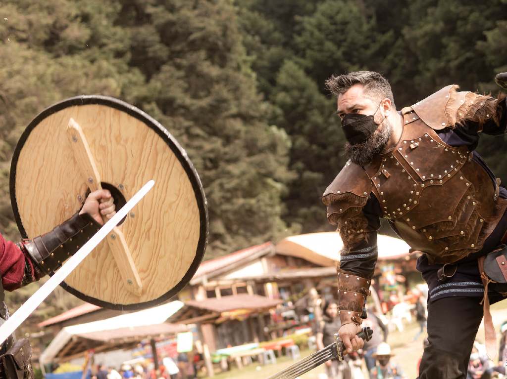Viking Fest combates