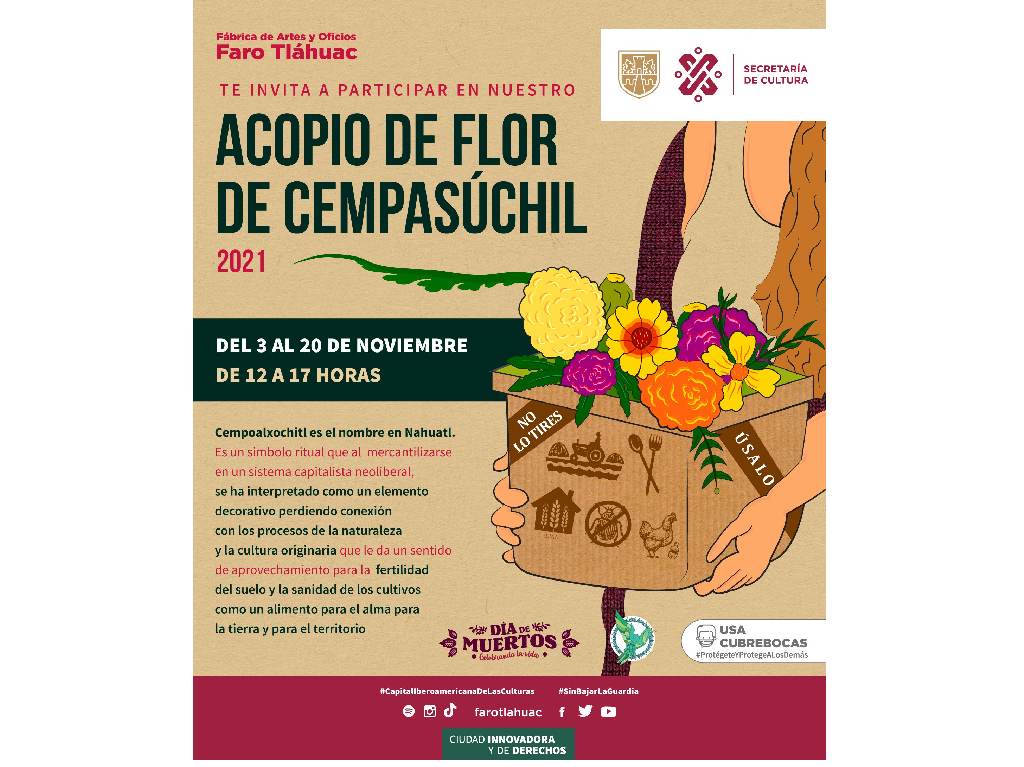 flor de cempasúchil 