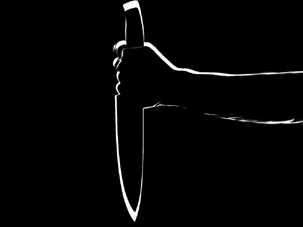 Convención sobre asesinos seriales en CDMX cuchillo