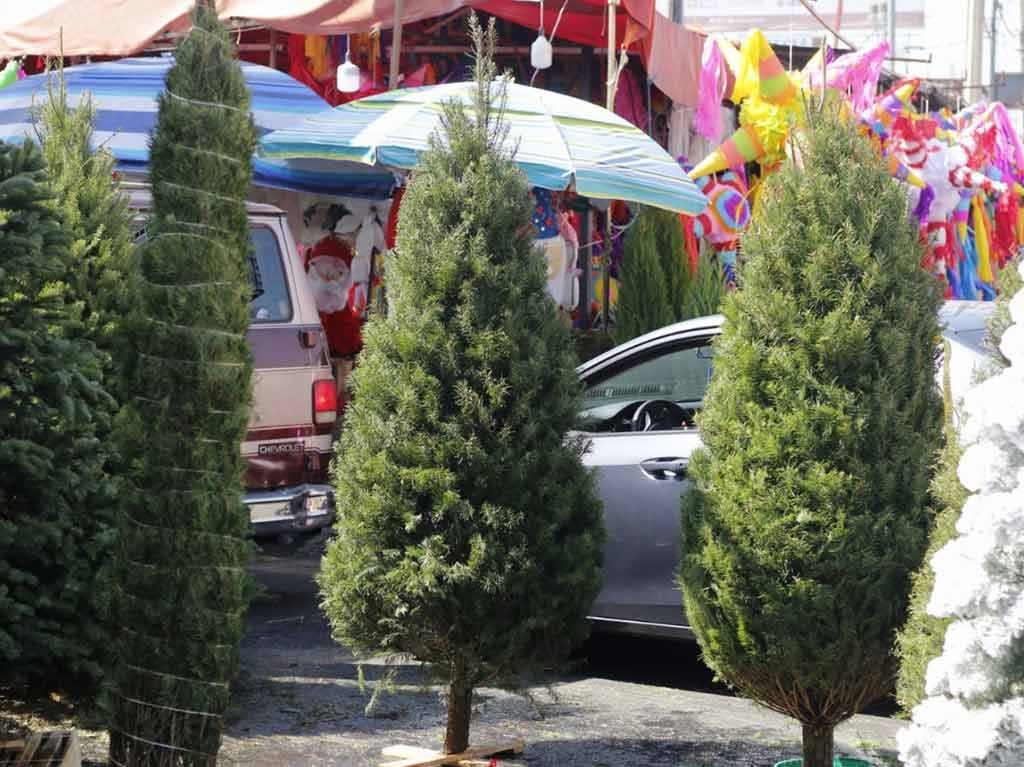 Cuánto cuestan los árboles de navidad en los mercados de CDMX