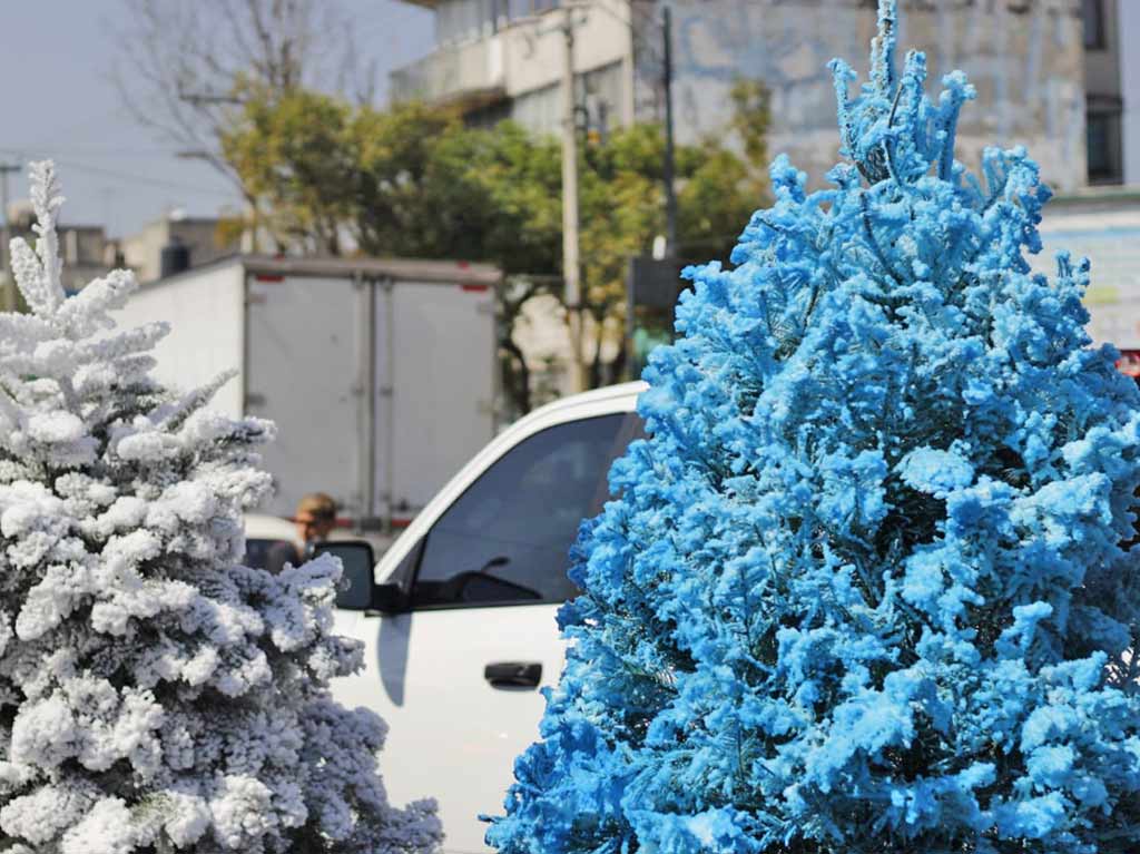 Cuánto cuestan los árboles de navidad en los mercados de CDMX | Dónde Ir