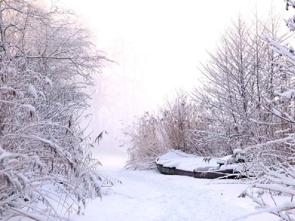 Experiencias invernales para disfrutar la Navidad 2