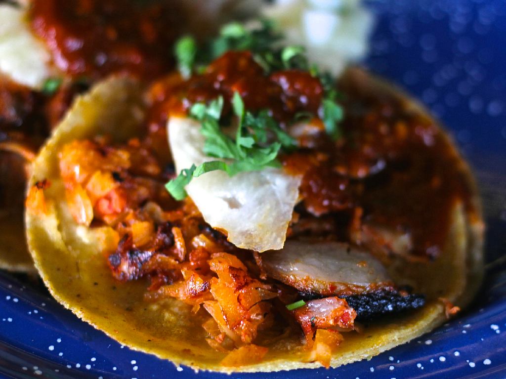 Festival del Pulque, Gastronomía Típica y Mezcal tacos