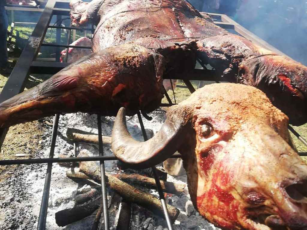 Festival Vikingo del Asado búfalo