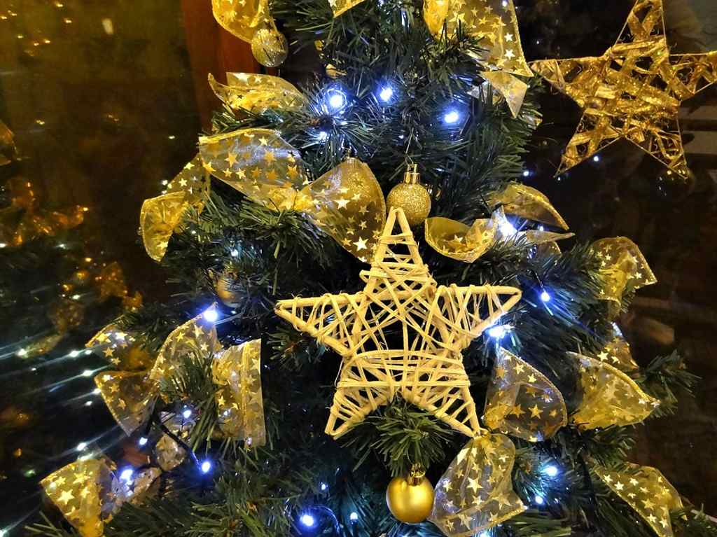 Festivales de Navidad en Hidalgo árbol