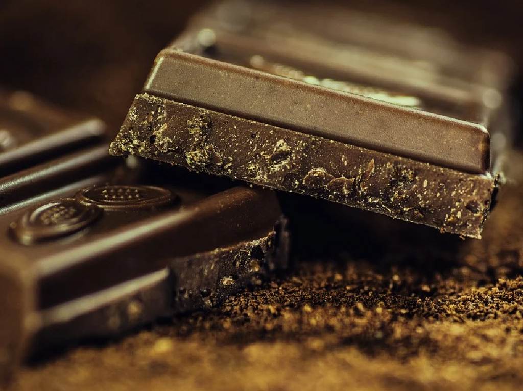 Fiesta Nacional del Chocolate 2022 barra
