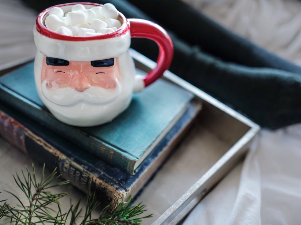 Libros para regalar en Navidad a la familia Chocolate y libros