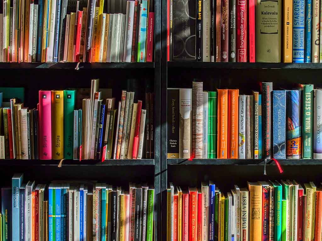 Descuentos en librerías por el Buen Fin 2021