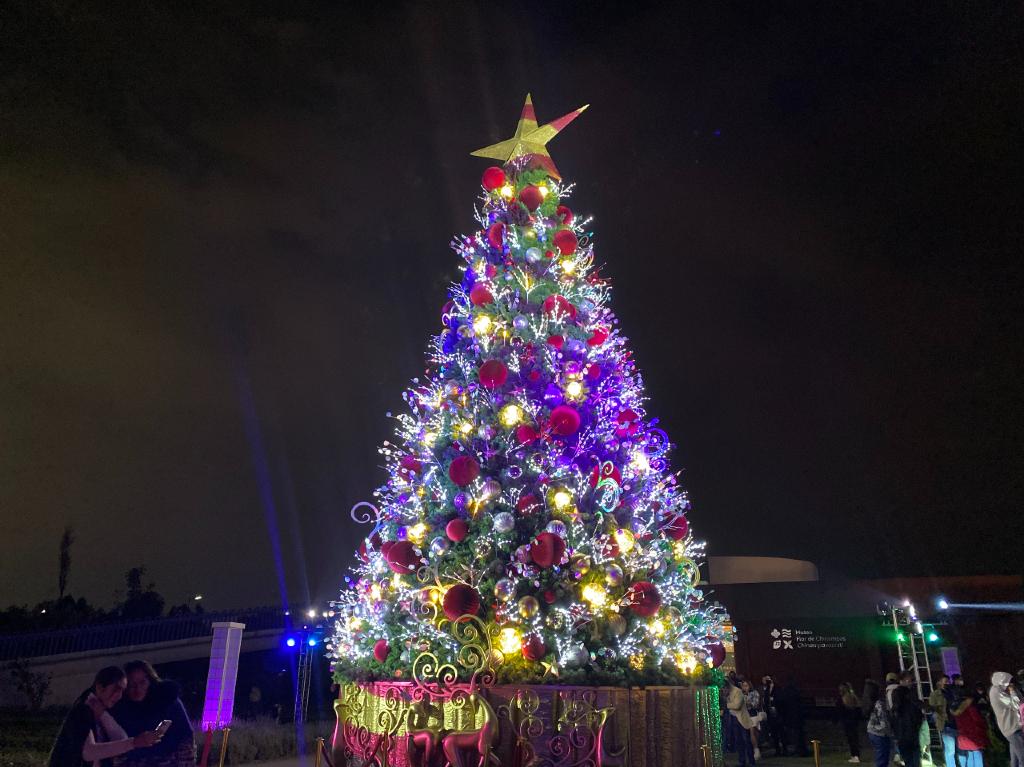 Vive la Navidad en Xochimilco con el Festival Ilusiones de Navidad | Dónde  Ir