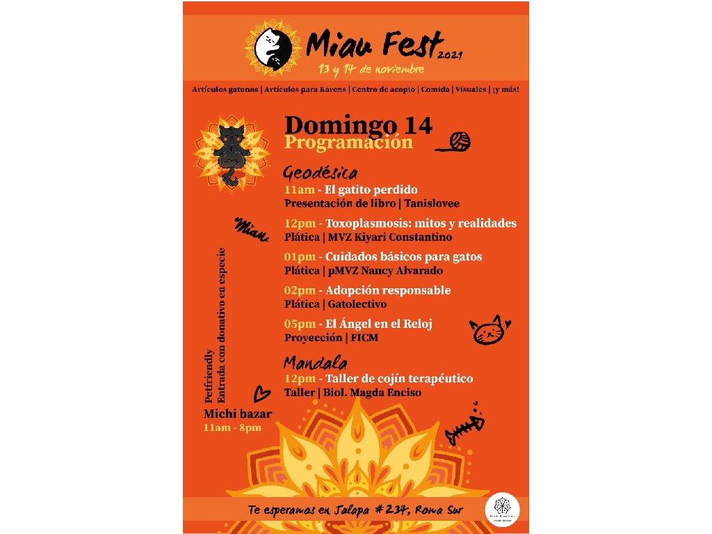 Evento Miau Fest 2021