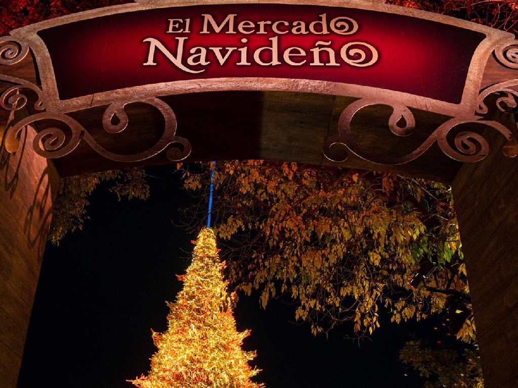 navidalia-en-jalisco-mercado