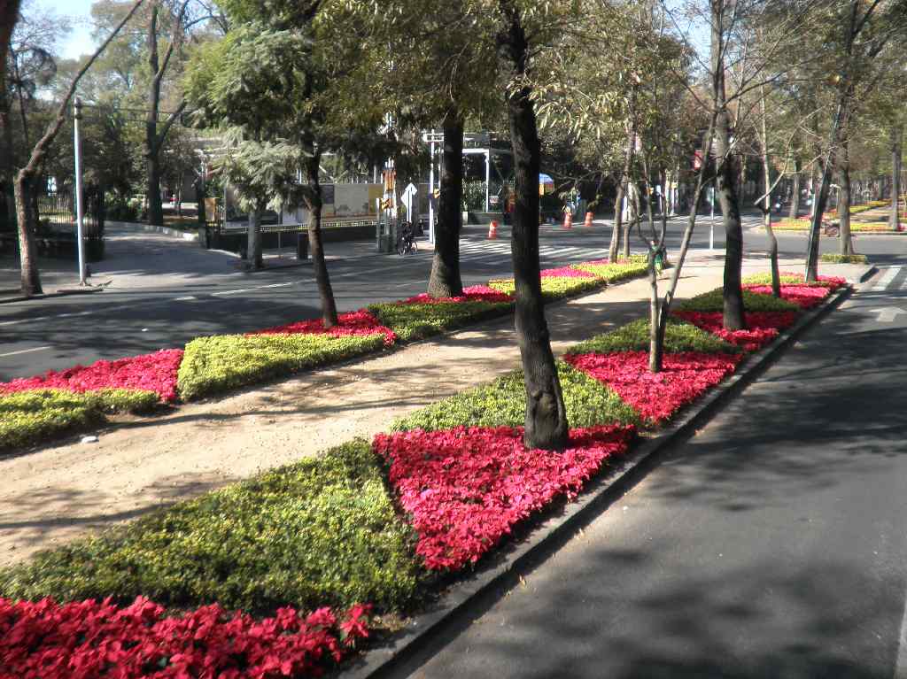 nochebuenas-paseo-de-la-reforma-pabellon