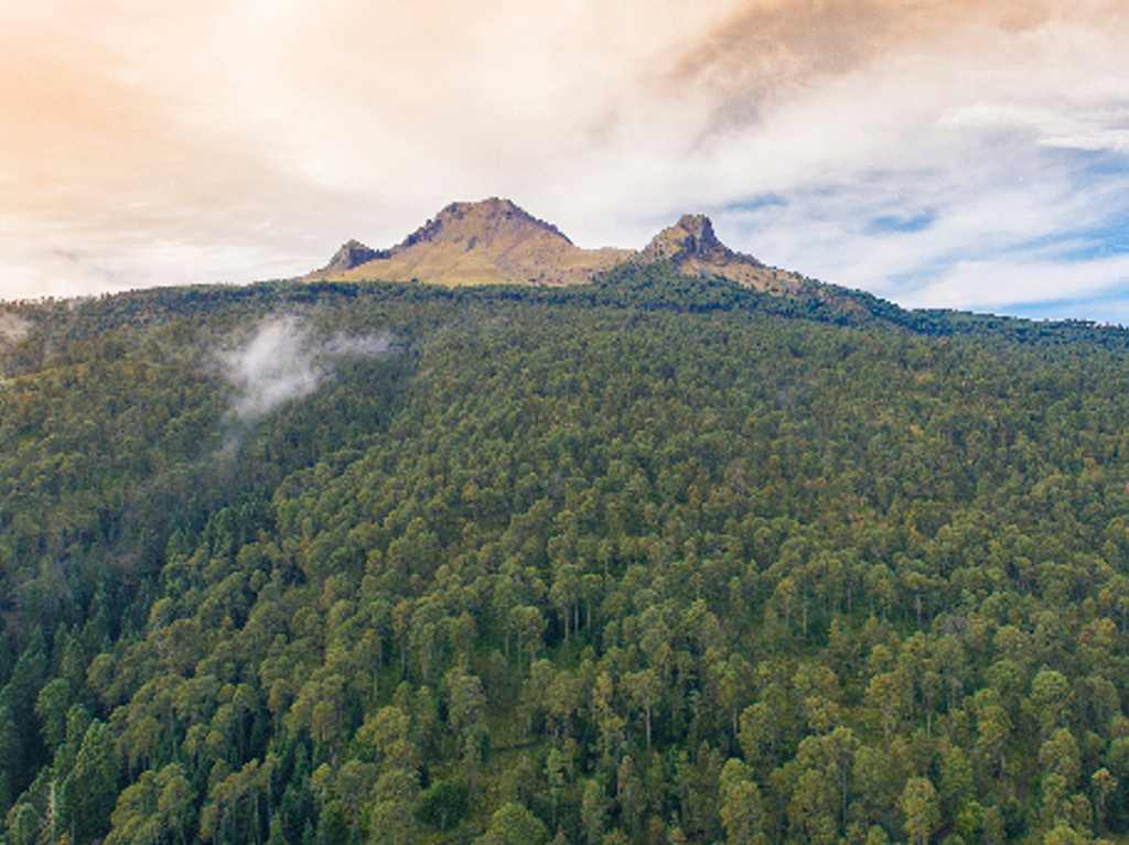 Tlaxcala pueblos mágicos santuario de luciérnagas y más Parque Nacional La Malinche