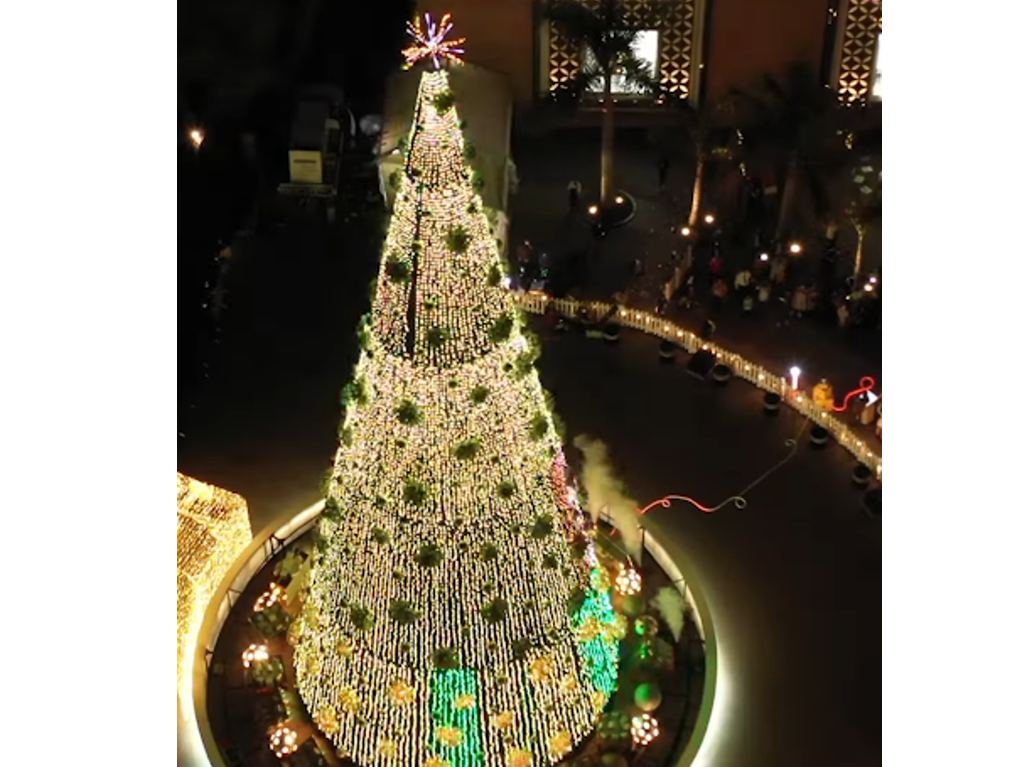 Arbolitos de Navidad más bonitos en CDMX Palacio