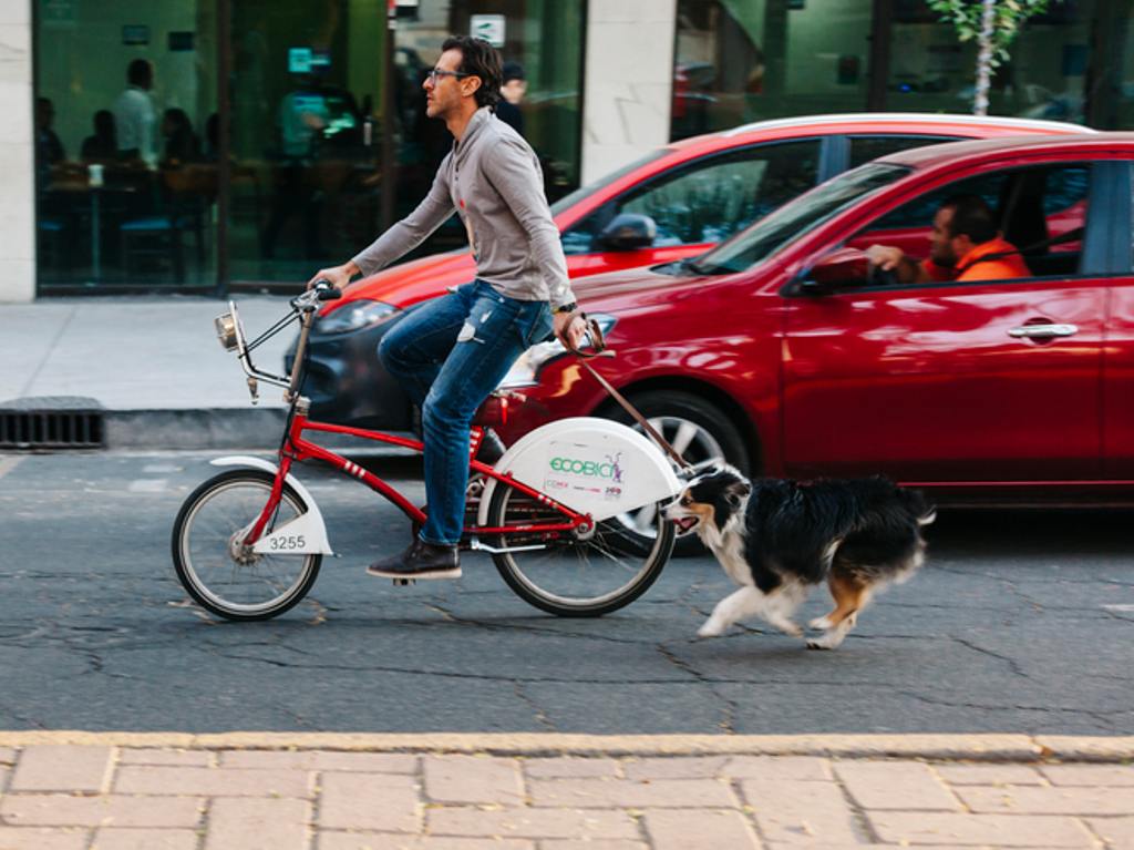 Cierres de Metrobús y Ecobici por romería navideña bici