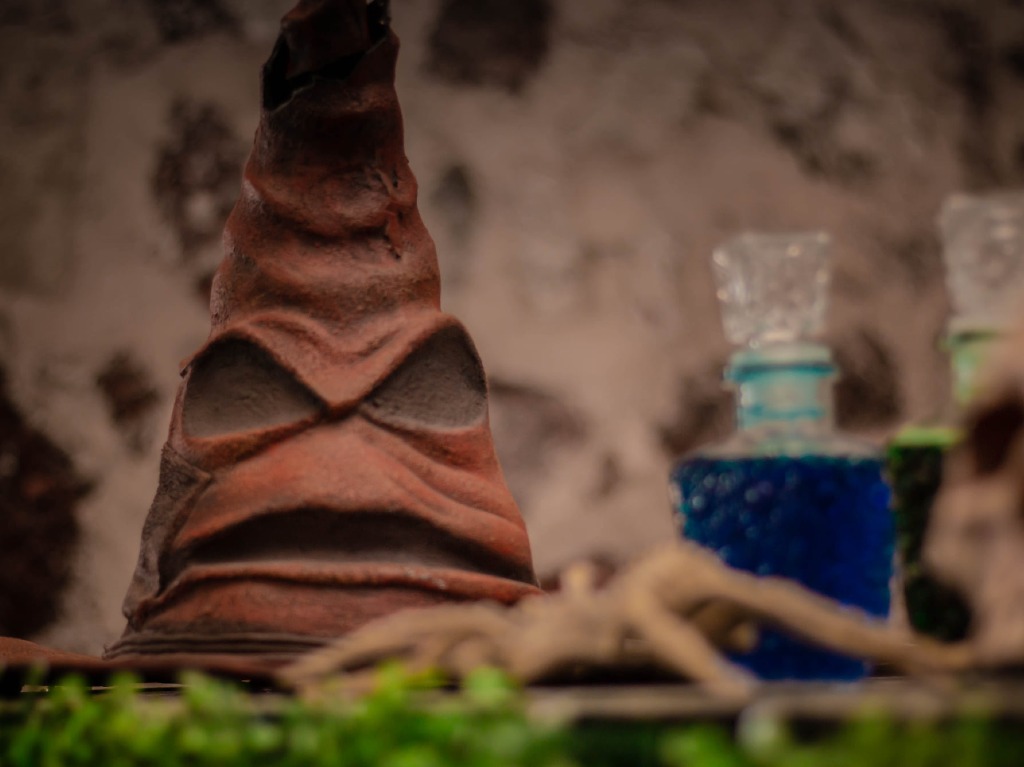 No te pierdas el Día del Sombrero Seleccionador de Harry Potter en Terraza Franciscana