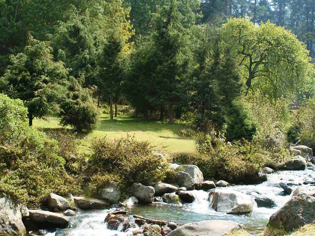 Despídete del año en un picnic con tus amigos ¡conoce 3 opciones! 3