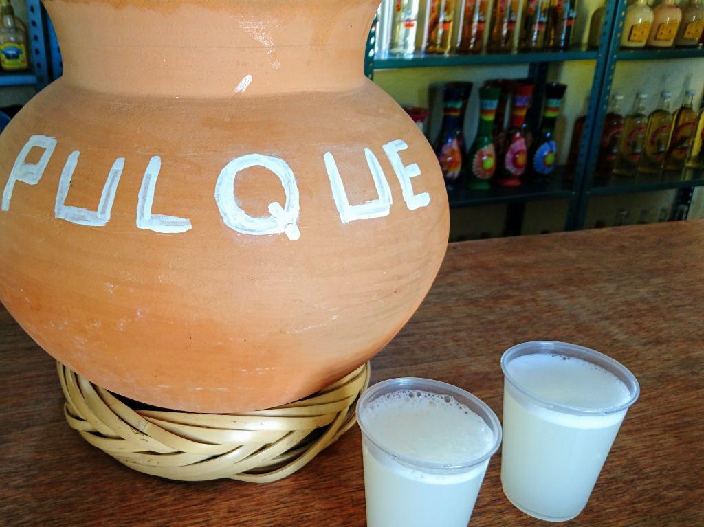 Festival de la Barbacoa y el Pulque en Querétaro jarra