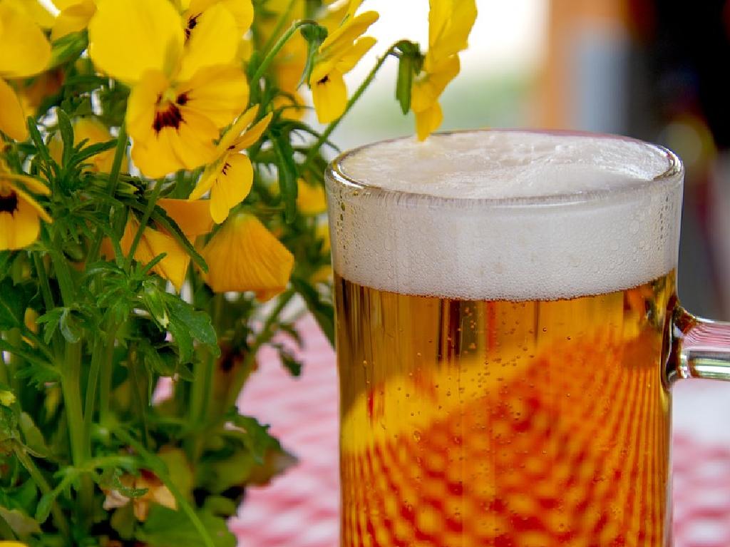 festival-navideno-del-pulque-y-el-mezcal-cerveza