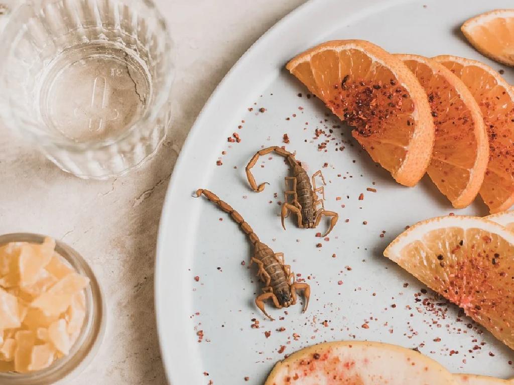 Festival del Mezcal, Vino y Queso en Tepoztlán 2022