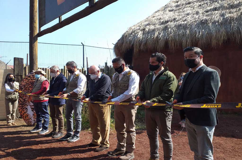 Santuario Jaguar la nueva atracción de Reino Animal 1