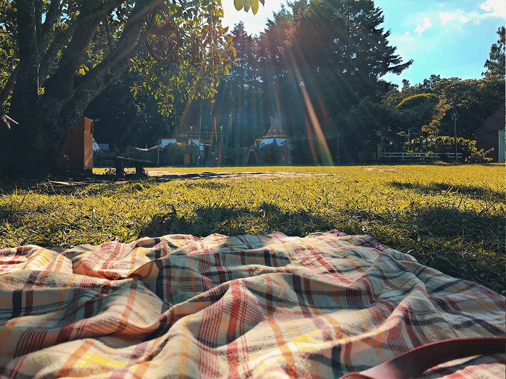 Despídete del año en un picnic con tus amigos ¡conoce 3 opciones! 1