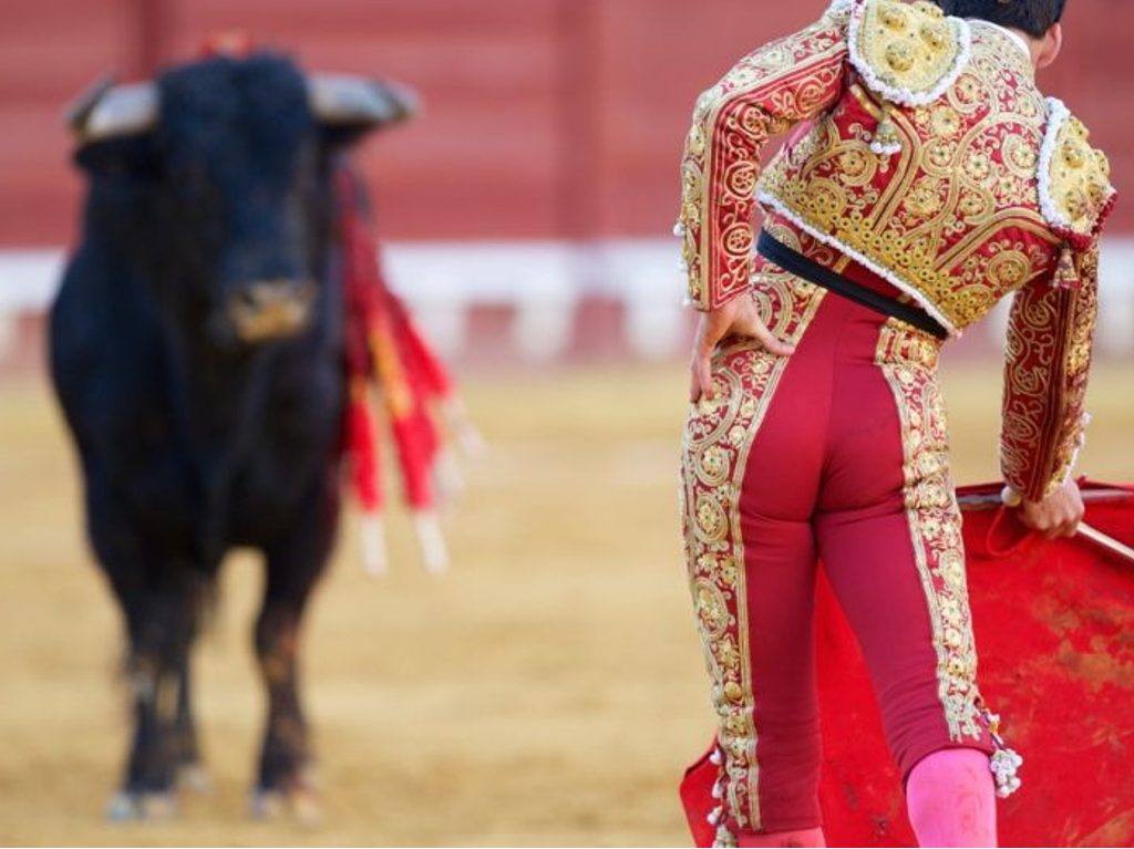 prohibición de las corridas de toros tauromaquia