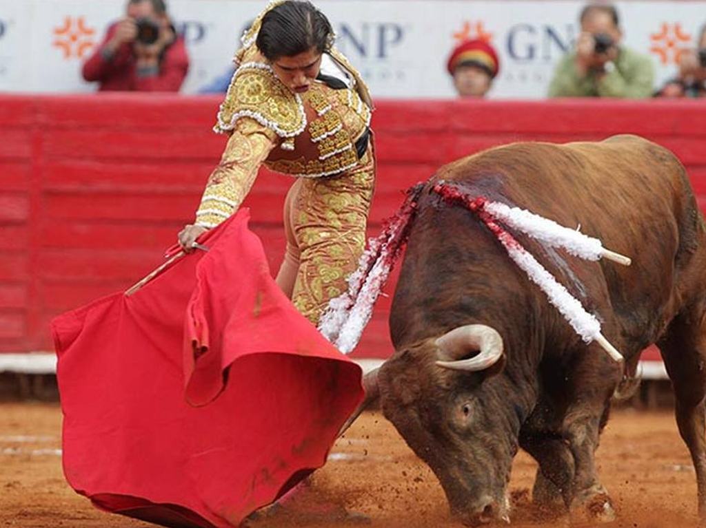 Llega al congreso iniciativa para prohibir las corridas de Toros en CDMX