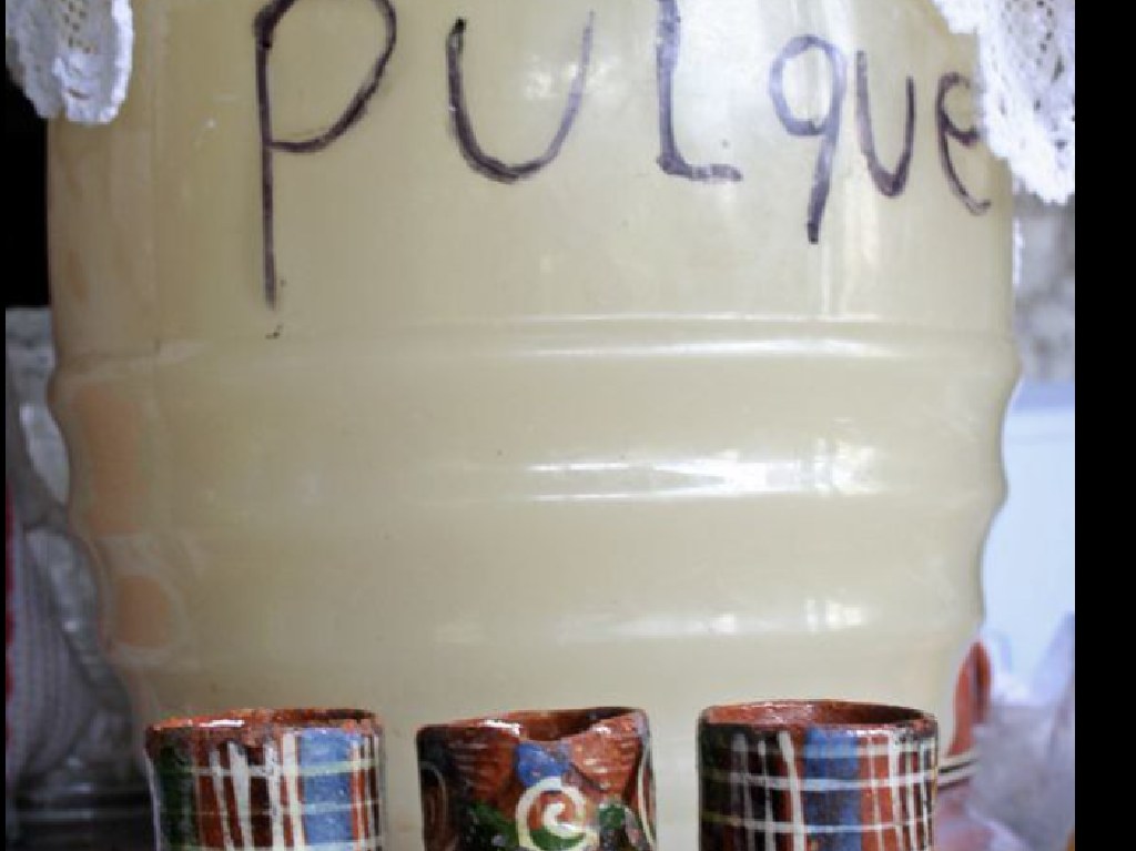 Pulque Fest 2021 garrafa