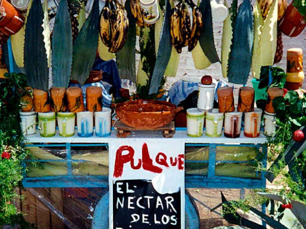 Festival del Pulque, el Helado y el Foodtruck