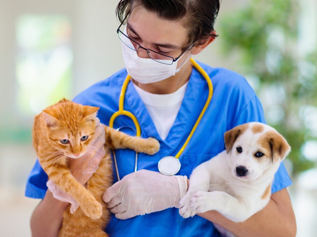 Reabre el Hospital Veterinario de la Ciudad de México