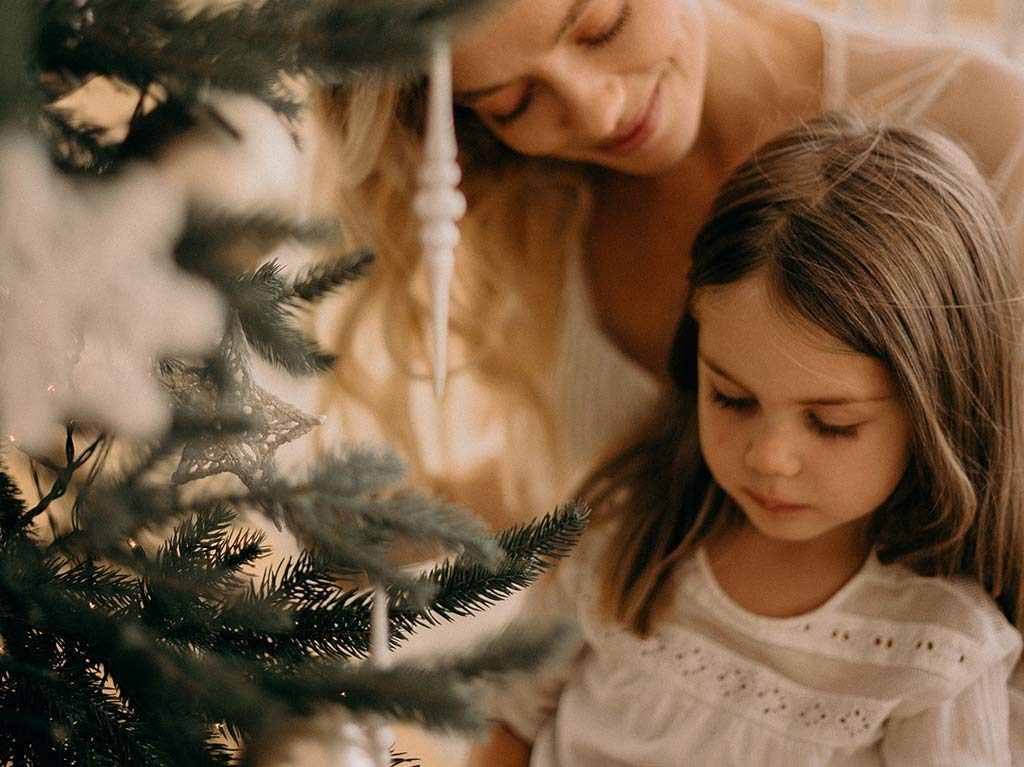 Renta un árbol de navidad natural que será replantado en enero