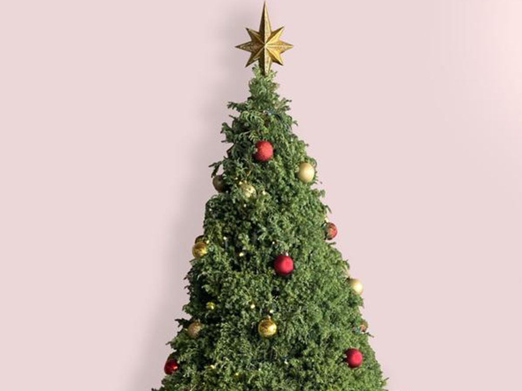 Renta un árbol de navidad 