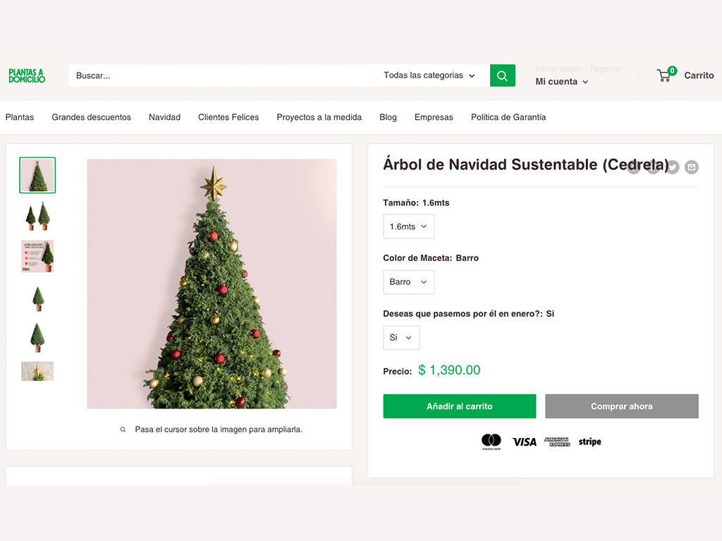 Renta un árbol de navidad sustentable