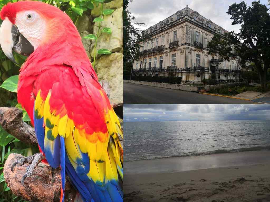 Road trip por Riviera Maya: experiencias únicas en Residence Inn