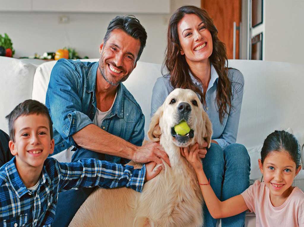 Los perros ya serán oficialmente parte de tu familia, en España