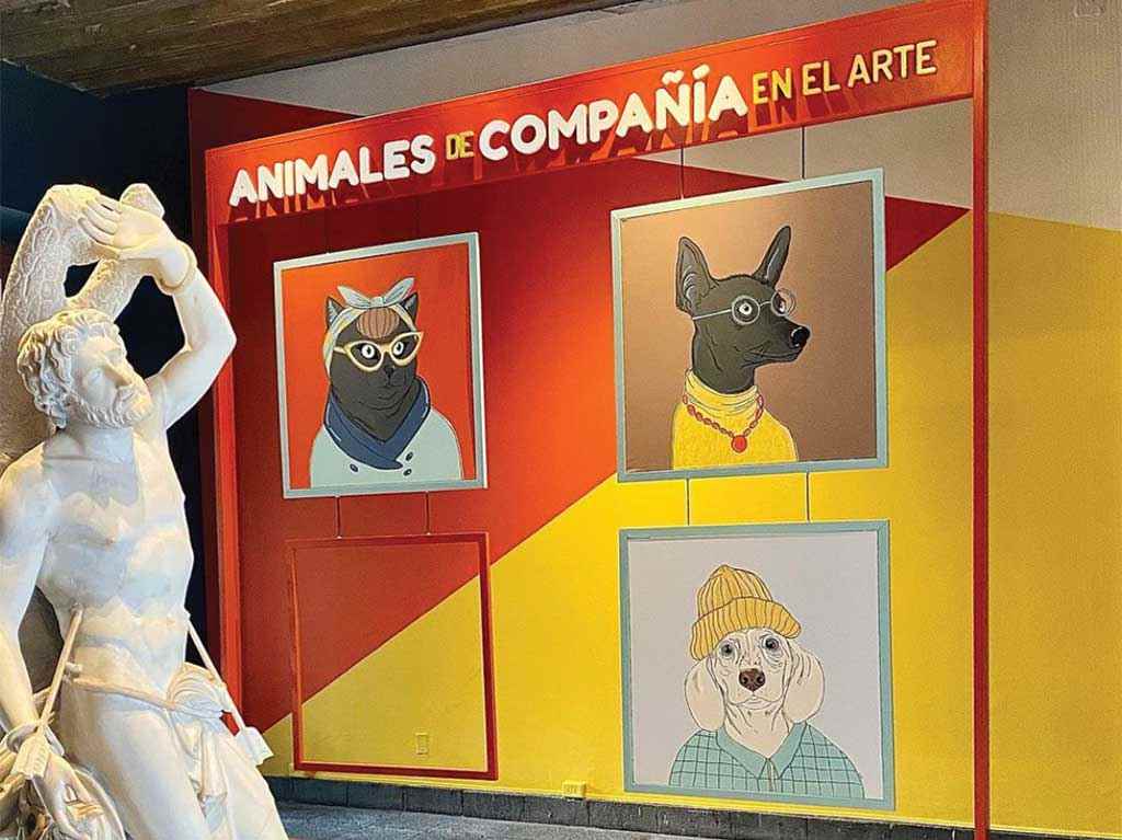 Cinco exposiciones imperdibles en enero Animales de compañía Museo de San Carlos