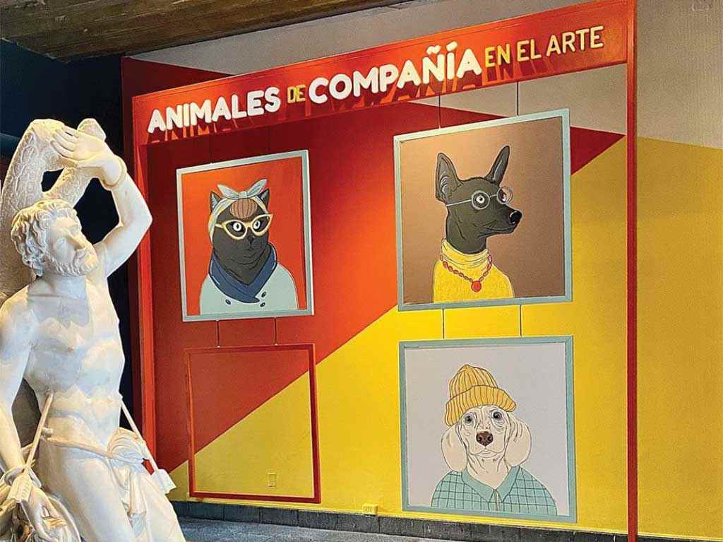 Cinco exposiciones imperdibles en enero Animales de compañía Museo de San Carlos 