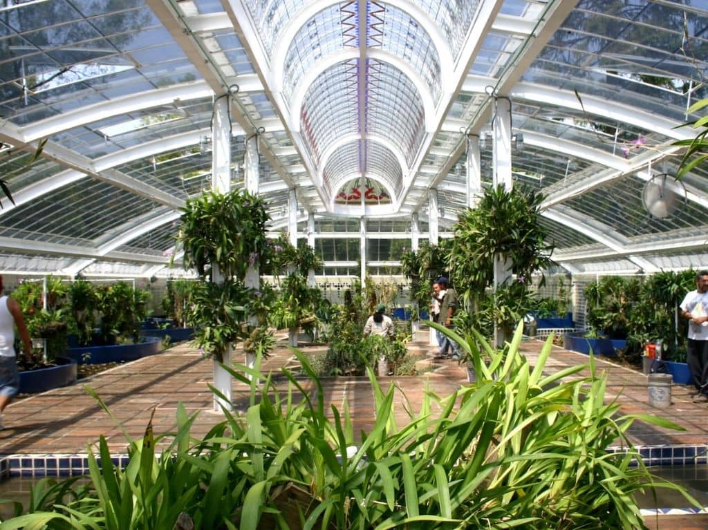 cita-san-valentin-jardin-botanico-min