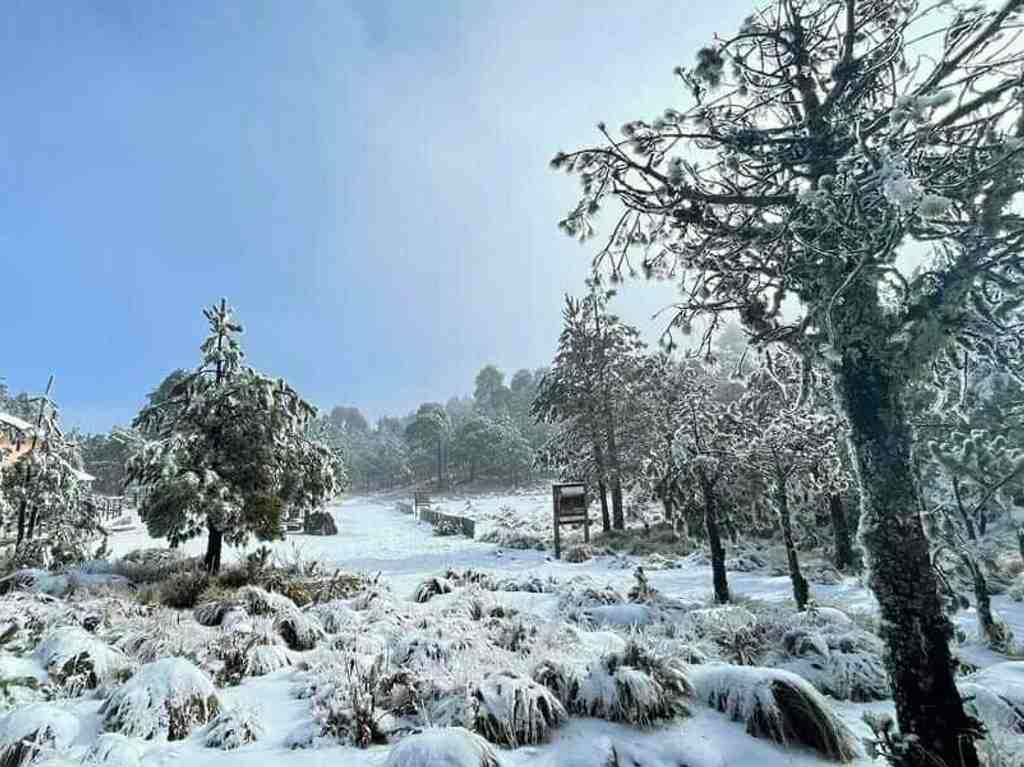 Cofre de Perote y más sitios nevados Parque Nacional