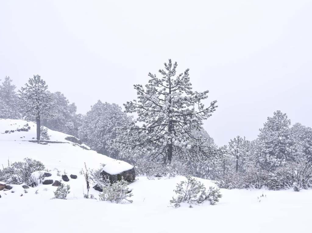 Cofre de Perote y más sitios nevados que explorar para aventureros