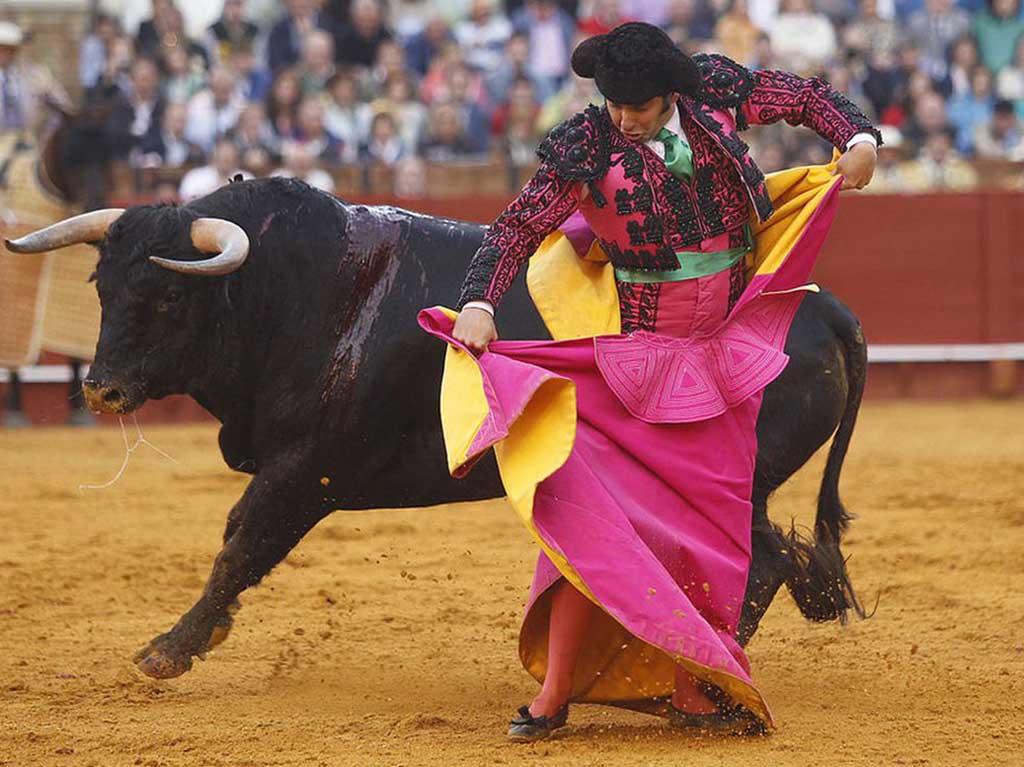 Prohíben las corridas de toros en Sinaloa, el quinto estado en hacerlo