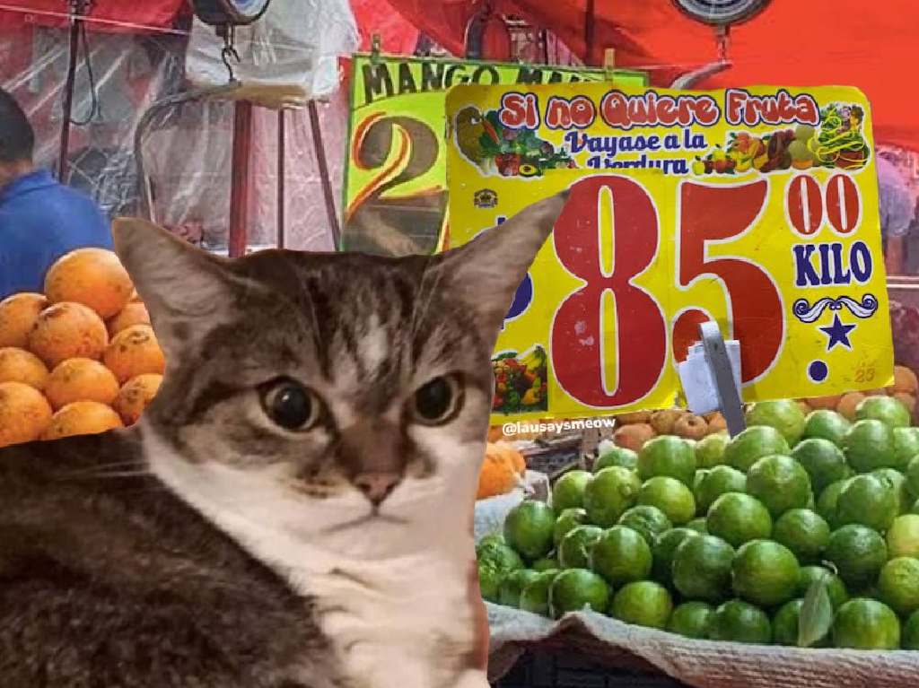 El precio del limón en México meme