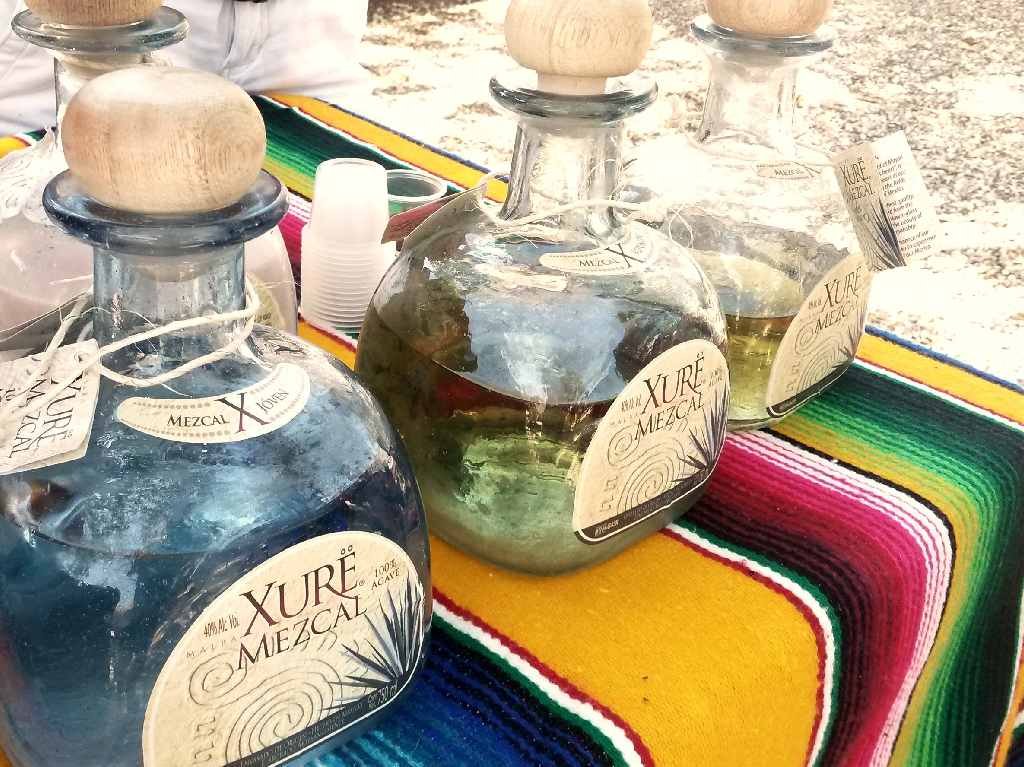 Festival amor y mezcal en CDMX